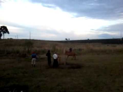 Marlon Lorandi x Troncho