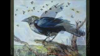Rook (cover)