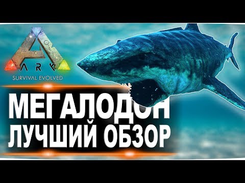 Мегалодон (Megalodon) в АРК. Лучший обзор: приручение, разведение и способности в ark.