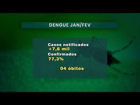 Dengue em Mato Grosso