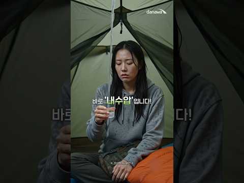 다나와 AI 숏폼·바이럴 사례