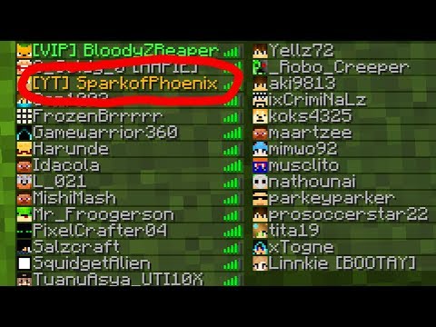 SHOCKING! Minecraft Youtuber meets Players in Multiplayer