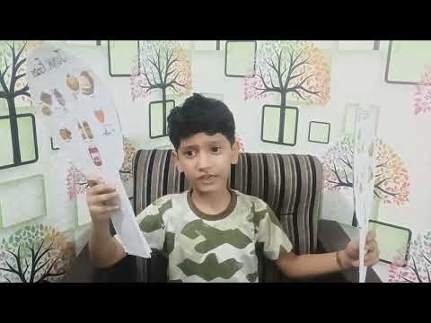 Healthy Food Vs Junk food: Atharva Analysis