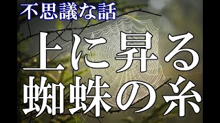 【不思議な話】上に昇る蜘蛛の糸【ゆっくり】