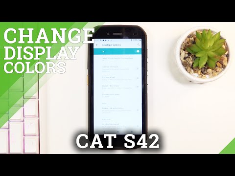 How to Change Color Space in CAT S42 - Simulate Color Space