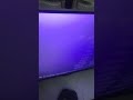 Monsters Inc High Tone Credits