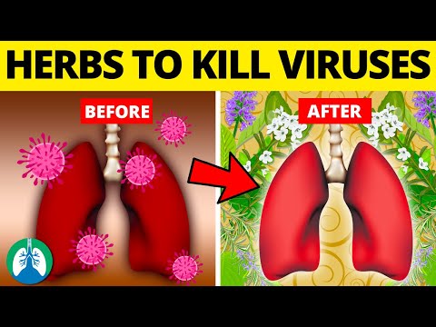 Top 10 Herbs for Lung Health, Clearing Mucus, COPD, and Killing Viruses