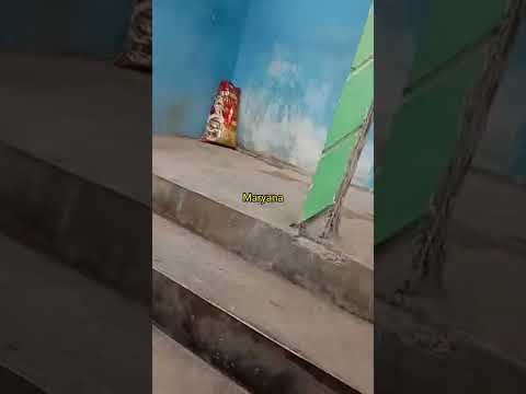 APEM TEMBEM HARGA 50 RIBU