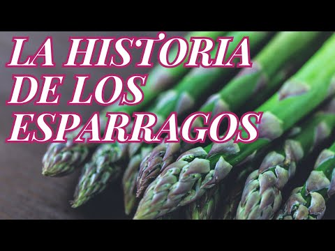 , title : 'LA HISTORIA DE LOS ESPARRAGOS'