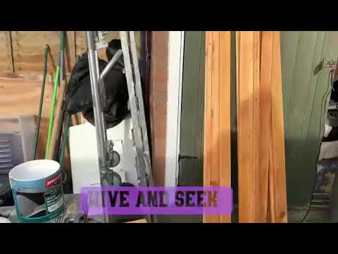 Hive and Seek video.