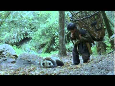 afbeelding Xiong Mao Hui Jia Lu