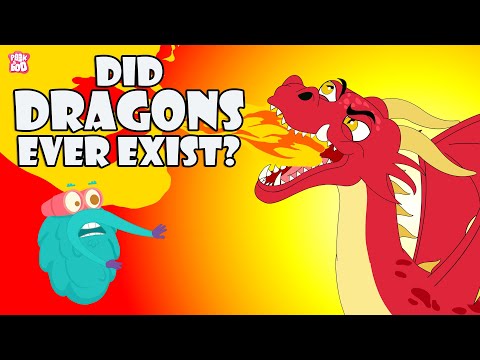 Did Dragons Ever Exist? | Story Of The Dragon | The Dr Binocs Show | Peekaboo Kidz