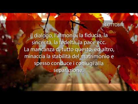 Meditazione del 14 Ottobre 2017 “LA SALVEZZA DEL MATRIMONIO”