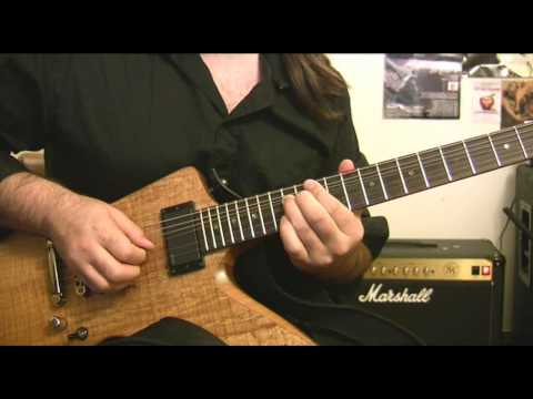 Blues/Rock licks Guitar Lesson - (Donations welcome via Paypal to rob@themonkeylord.com)