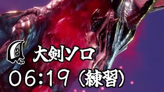 [MHRS] 大劍 爵銀龍 6:19 