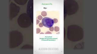 Can you Identify  this Immature WBC ? 🧐👀🧠  #Quiz 83