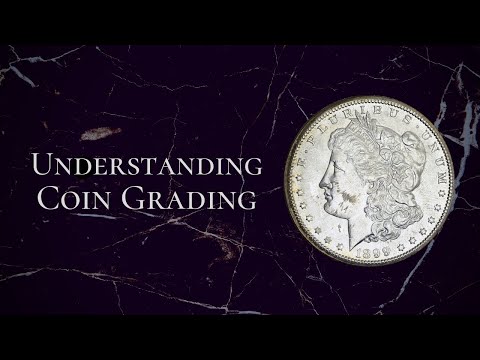Coin Grading 101: Understanding the Basics of Evaluating Coins