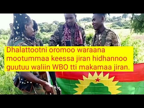 Komaandoon PP WBO tti makamaa jirtii