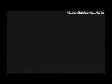 Mucsi Zoltán - Villanyszerelés