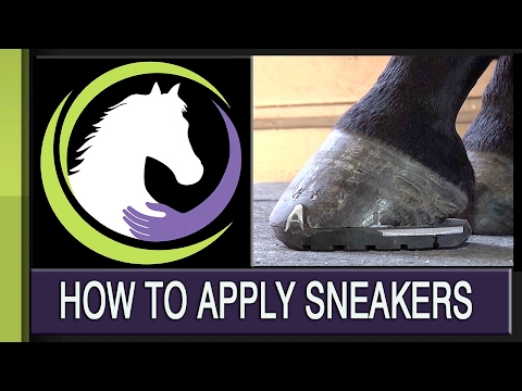 How to Apply Sneakers