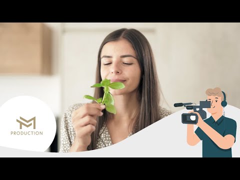 Luximo Ceranfeldschaber - Produktvideo