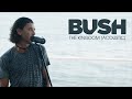 Bush - The Kingdom (Acoustic)