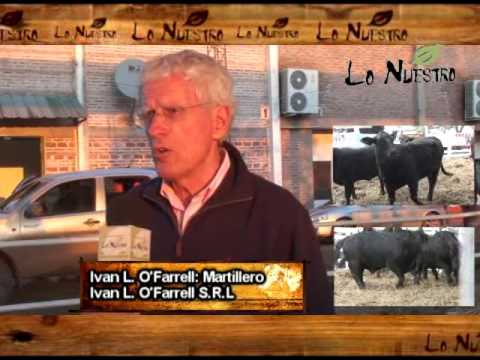 Ivan L  O'Farrell, Martillero   Ivan L  O'Farrell S R L