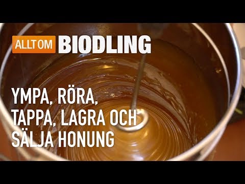 Ympa, röra, tappa, lagra och sälja honung - Biodling