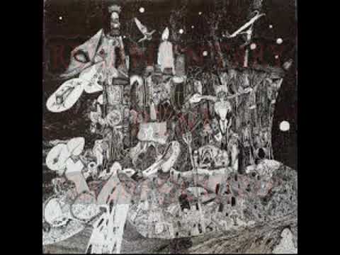 Rudimentary Peni - Radio Schizo ( Lyrics Video )