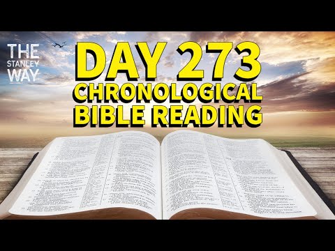 Day 273 Every Day Bible | Jesus Heals The Leper & Paralyzed Man