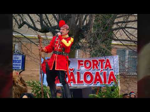 Ursul din Lăloaia - Comănești 2017