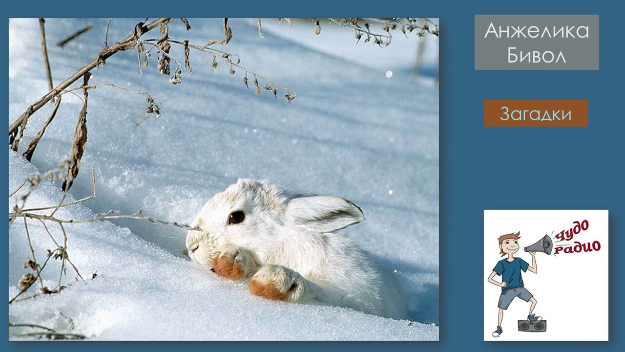 Чудо Радио   Анжелика Бивол  Загадка
