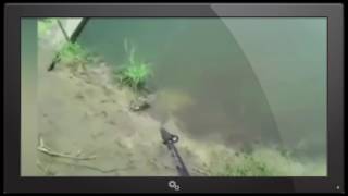 Eager Explorer Stumbles Upon Bizarre Fish Creature With Giant Jagged Teeth