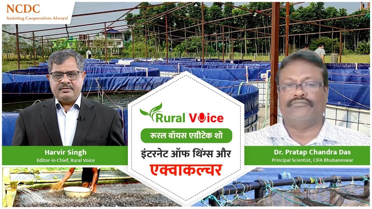रूरल वॉयस विशेषः आईओटी के इस्तेमाल से मछली उत्पादन क्षेत्र में आएगी नई क्रांति