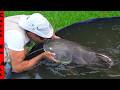 My PET WHALE Gets A New BACKYARD HOME In Fish River