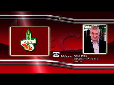 FONO: Petar Radić