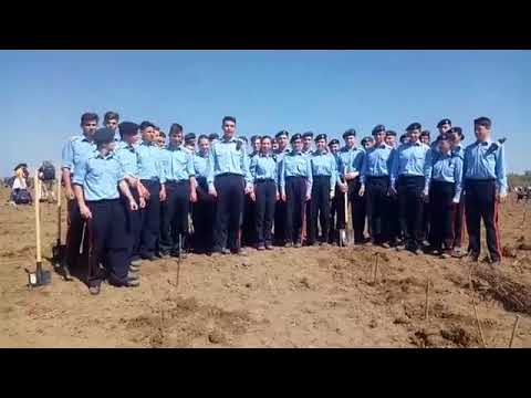 Elevii CNM ”Dimitrie Cantemir” din Breaza plantează stejari la Mărășești, 21.04.2018