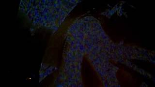 Pulse Emitter - Live at Dunes, Portland, OR - 4/30/09