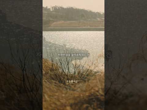 세상이 언제 내게 온전한 쉼을 허락한 적 있던가.