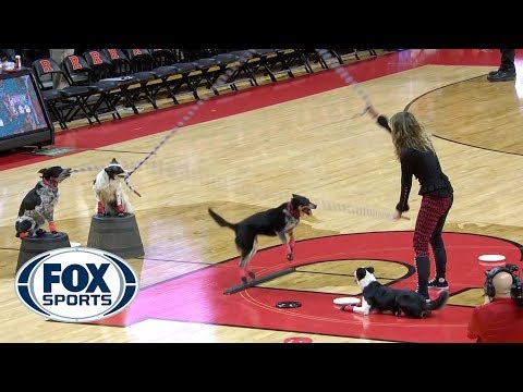 Dog Double Dutch at halftime of No. 21 Iowa at Rutgers | FOX SPORTS