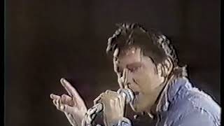 SHAKIN STEVENS  SHIRLEY live  on dell festival 1983