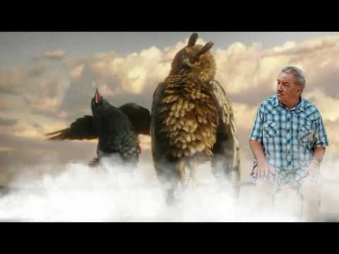 3 Vögel auf der Stromleitung !