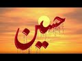New Muharram Special WhatsApp Status Best Qawwali Status Moharram Video Moharram Imamhussain Iraq