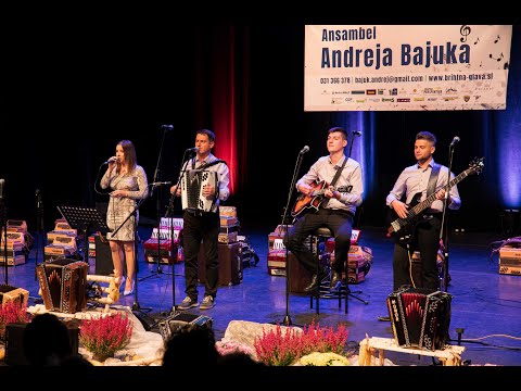 25 let Ansambla Andreja Bajuka