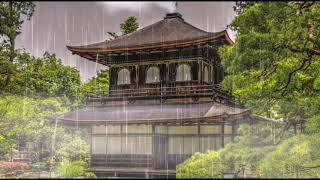 rain sound to fall asleep with heavy rain noise with storm great for sleeping relax and study