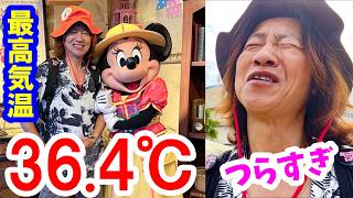 壮絶レポ／最高気温36.4℃でも楽しめる？ ただツライだけ？（2026-07 東京ディズニーシー）