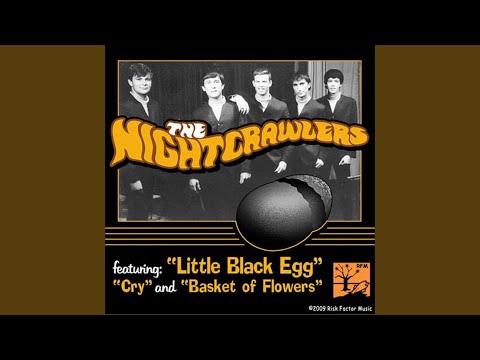 The Little Black Egg