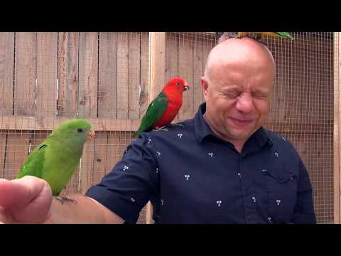 Liptov News: Marián Labuda ml. na Liptove