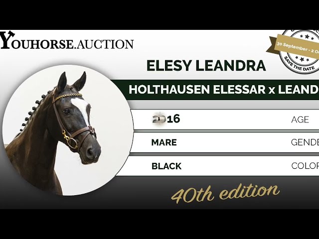 Elesy Leandra @ the show