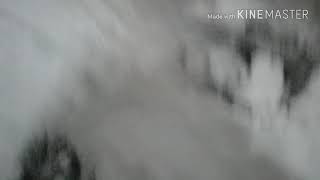 雪で大喜びなネズミ